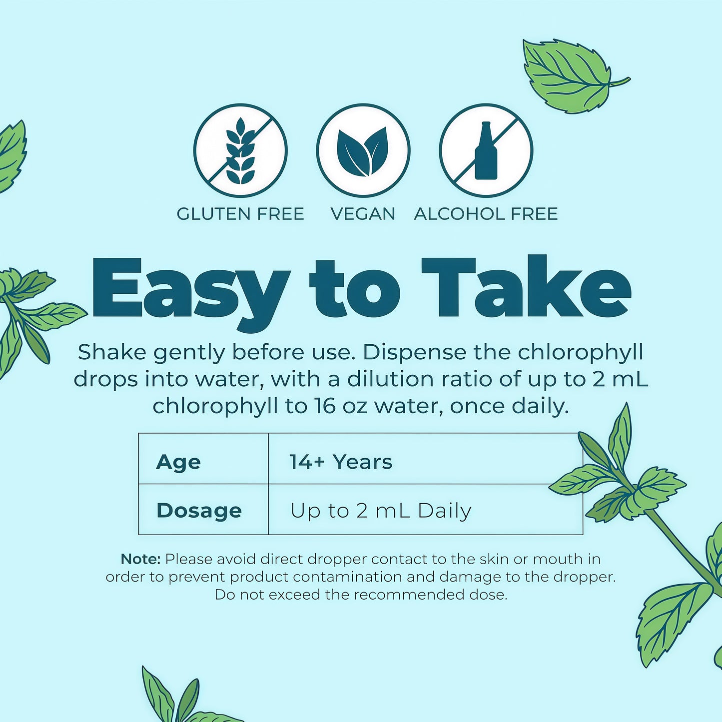 MaryRuth's Chlorophyll Liquid Drops, Delicious Minty Flavor, Vegan, 2 Fl Oz | Clean Label Project Certified®, Vegan, Non-Diluted Liquid Chlorophyll, Mulberry Derived Supplement for Ages 14+, Non-GMO