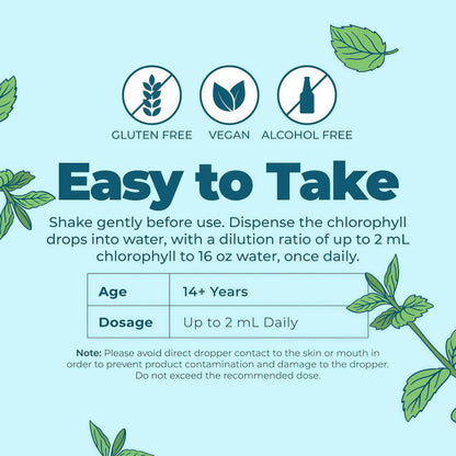 MaryRuth's Chlorophyll Liquid Drops, Delicious Minty Flavor, Vegan, 2 Fl Oz | Clean Label Project Certified®, Vegan, Non-Diluted Liquid Chlorophyll, Mulberry Derived Supplement for Ages 14+, Non-GMO